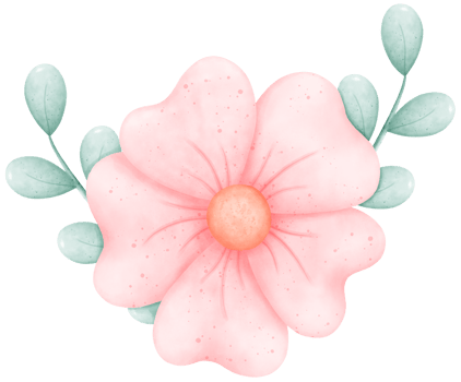 Hand-Drawn Blooming Flower - Spring Flower Illustration png