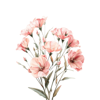 Colorful Flower Bokeh on Transparent Background png