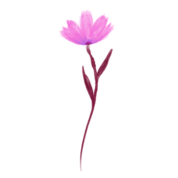 Simple Pink Watercolour Flower on a Transparent Background png