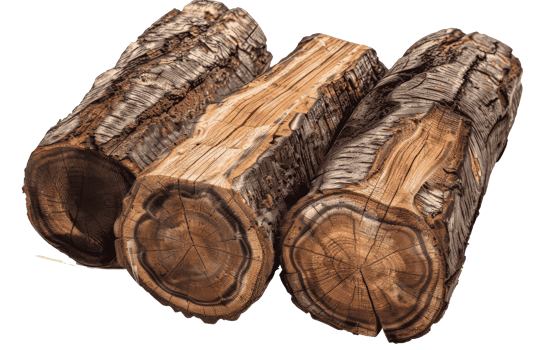 Logs cutout transparent png