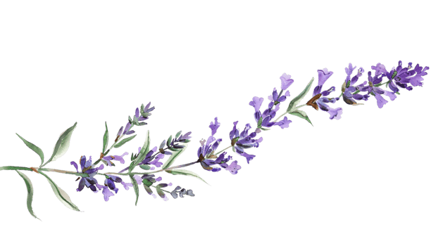 Beautiful Watercolor Clipart of a Flower for Artistic Designs png