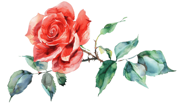 Beautiful Watercolor Clipart of a Flower for Artistic Designs png