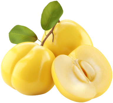 Cydonia oblonga illustration - Few Quinces with a half cut isolated on a transparent background png