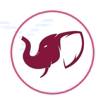 Elephant head artwork trendy beautiful illustration colorful abstract icon design vector