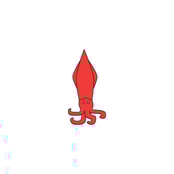 a red squid vector