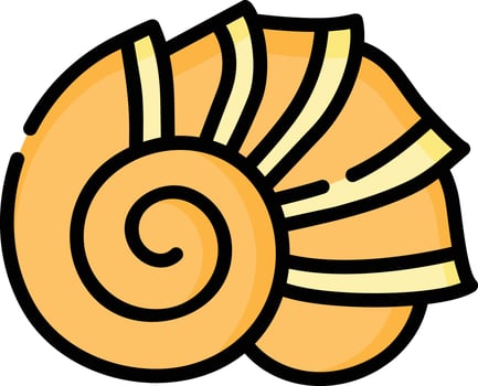 conch shell illustration design vector