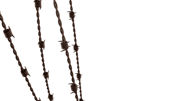 The rusty barbed wire image 3d rendering. png