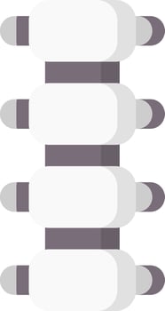 spine illustration design vector