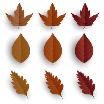 Autumn leaves set, isolated on a white background. Leaf in paper style. Good for social media, promotional materials, advertising. vector