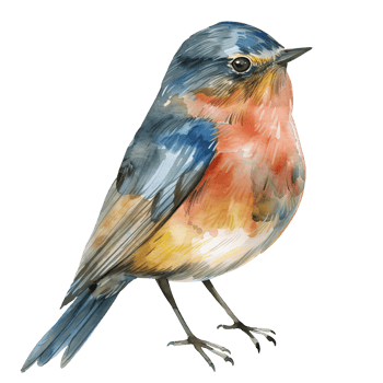 hand-drawn watercolor colorful bird art isolated png