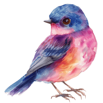 hand-drawn watercolor colorful bird art isolated png