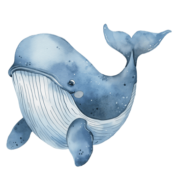 cute watercolor whale illustration on isolated background png