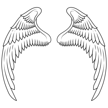 angel wings, bird wings for decoration png