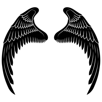 angel wings, bird wings for decoration png