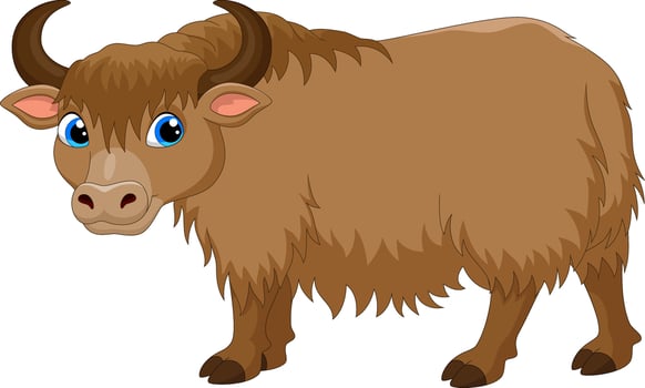 Cartoon happy yak on white background vector