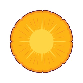 Pineapple illustration isolated on a white background vector
