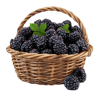 3D Illustration of a Basket Full of Blackberries png