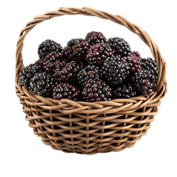 3D Illustration of a Wicker Basket Filled with Blackberries png