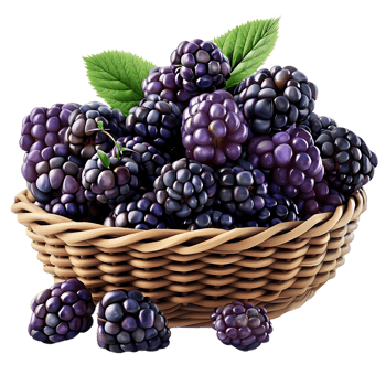 3D Illustration of a Basket of Blackberries png