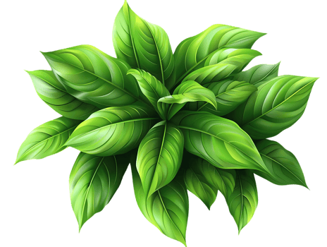 Green Leaves Illustration - Lush Tropical Foliage png