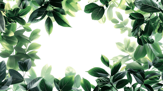 Green Leaf Frame Illustration - A Beautiful Frame of Green Leaves for Your Designs png