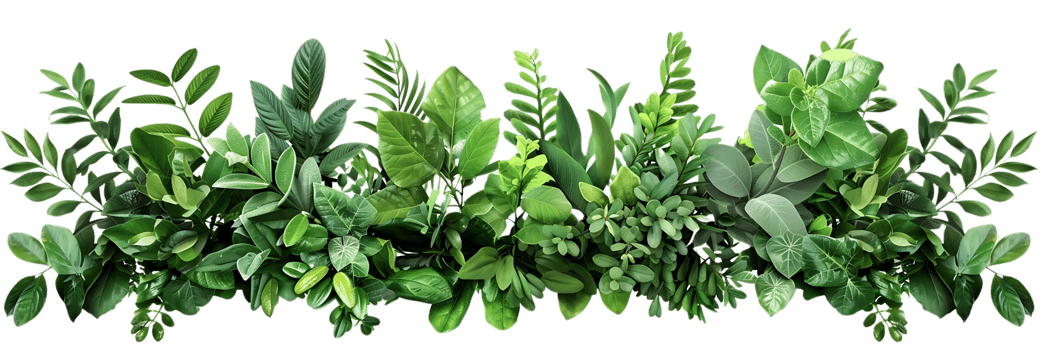 Green Leaves Collage Illustration png