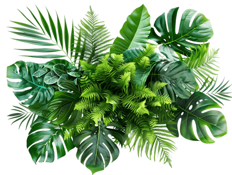 Green Tropical Leaves Illustration - Jungle Foliage Background Design png