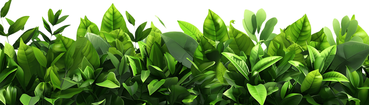 Green Leaves Illustration - Lush Foliage Background Image png