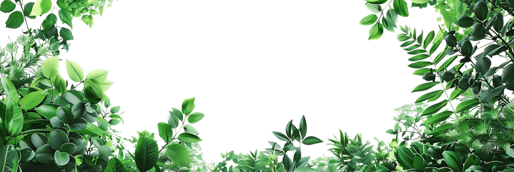 Green Leaves Frame Illustration png