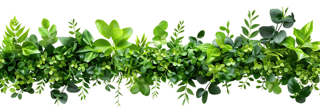 Green Leaf Border Illustration png