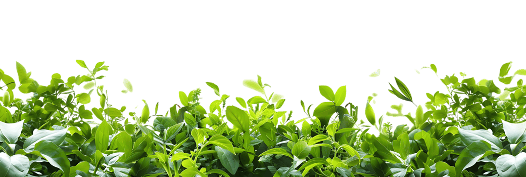 Green Lush Foliage Background Illustration png