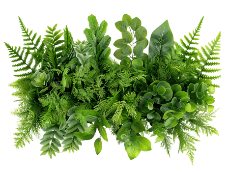 Green Leaves Illustration png