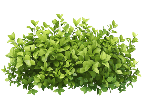 Green Leaves Bush Illustration png