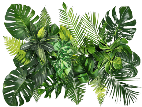 Tropical Leaves Illustration - Lush Green Foliage Background png