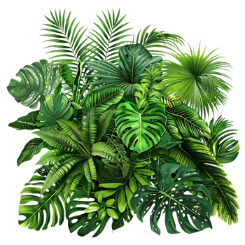 Tropical Illustration of Lush Green Leaves Background png