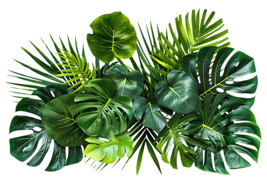 Tropical Leaves Background - Green Foliage, Lush, Nature, Jungle, Palm, Monstera, Plant, Summer, Exotic, Pattern, Illustration png