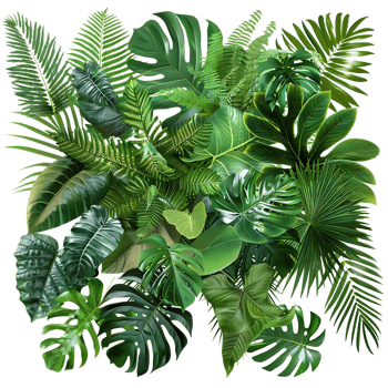 Tropical Green Leaves Illustration png