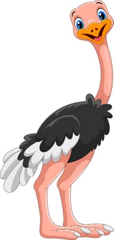 Cute ostrich cartoon on white background vector