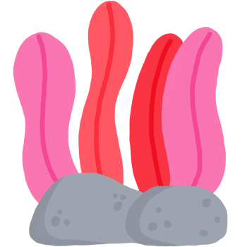 pink seaweed cartoon png