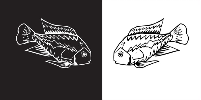 Illustration graphics of fish icon vector