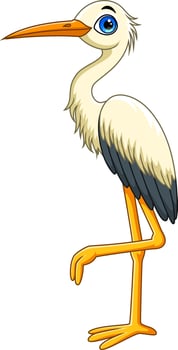 Cartoon cute white stork bird on white background vector