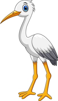 Cartoon cute white stork bird on white background vector