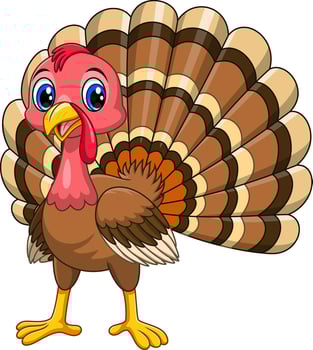 Cute Cartoon turkey bird on white background vector
