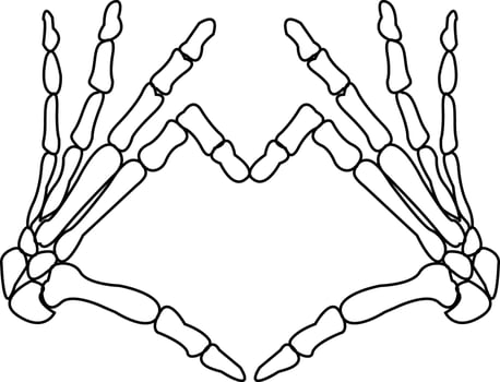 Isolated Skeleton Hand Illustration with Heart Sign. Detailed Scan for Anatomy Posters, Romantic Invitations, and Halloween Party Prints. illustration vector