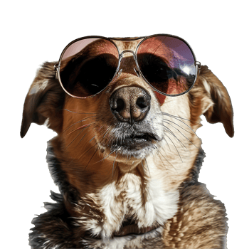 Cute dog and puppies png