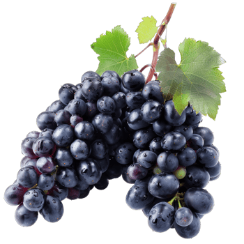 Fresh Grape fruit png