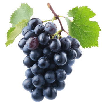 Fresh Grape fruit png