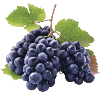 Fresh Grape fruit png