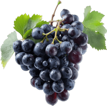 Fresh Grape fruit png