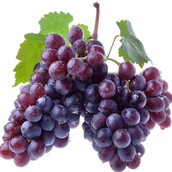 Fresh Grape fruit png